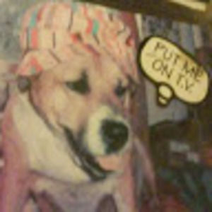 Meet your Posher, Jen